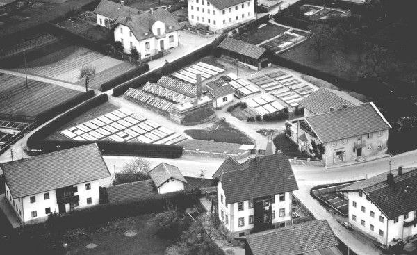 Das Luftbild zeigt die Gärtnerei in den 1950er Jahren.